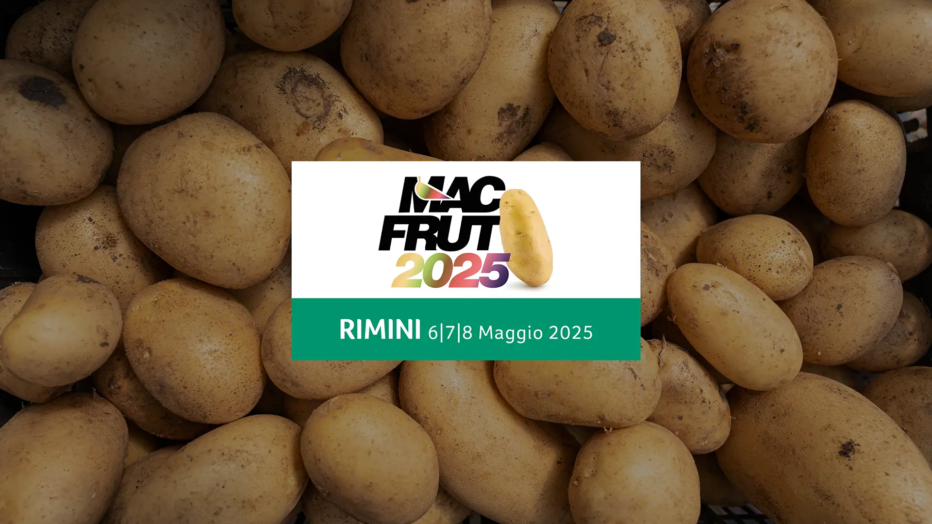 caterina6 macfruit 2025