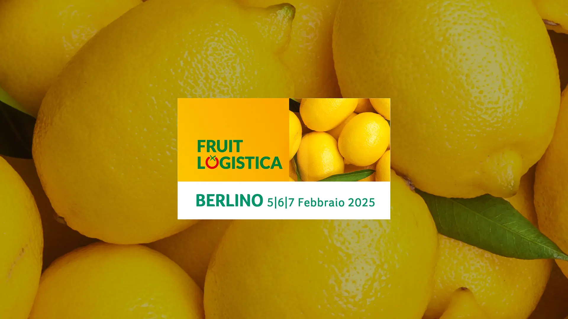 fruit logistica 2025 caterina6