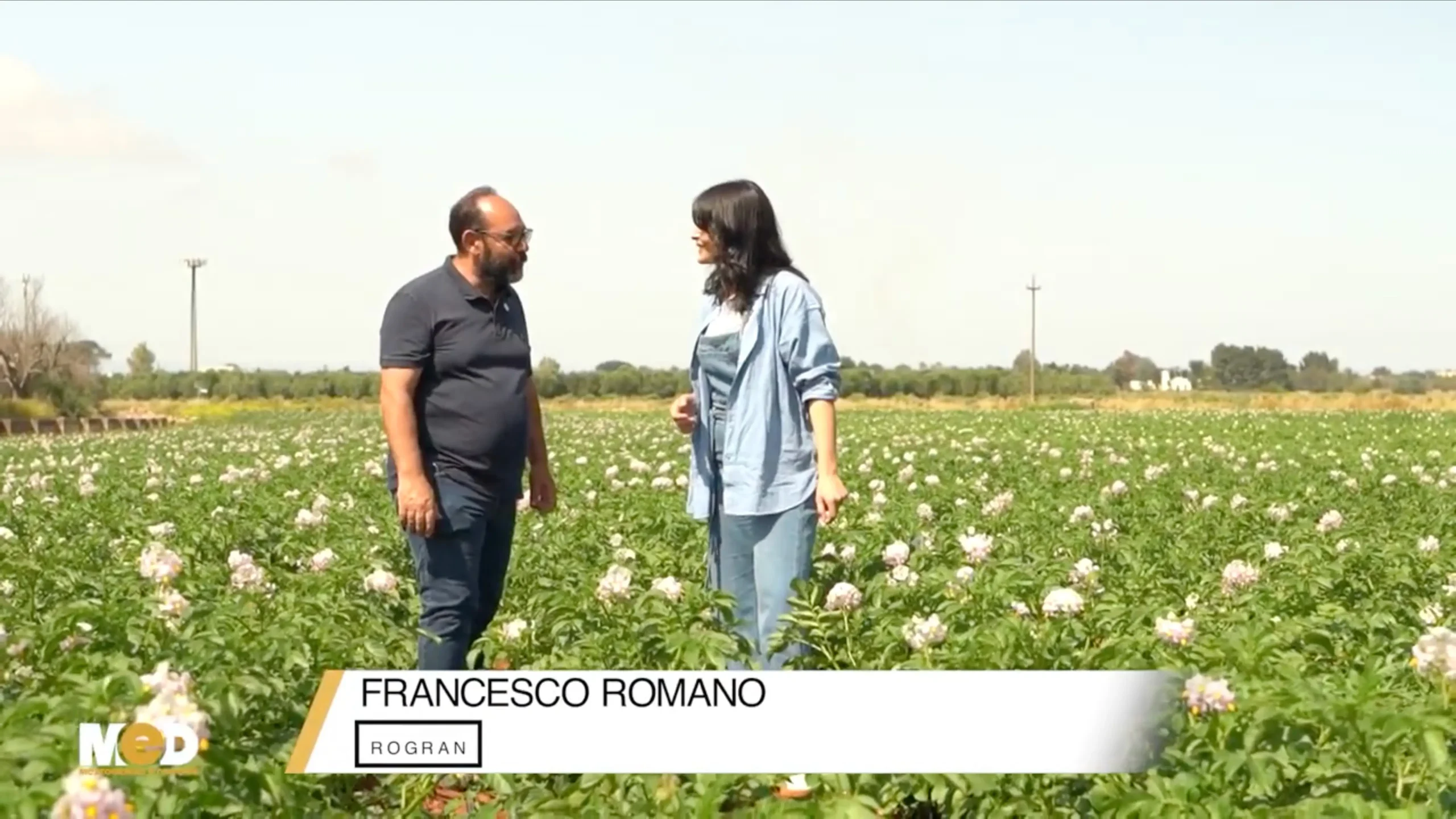 caterina6 Mezzogiorno e Dintorni